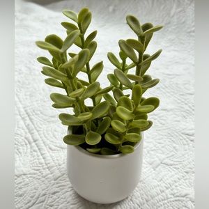 Threshold Faux Plant